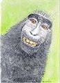 grinning monkey